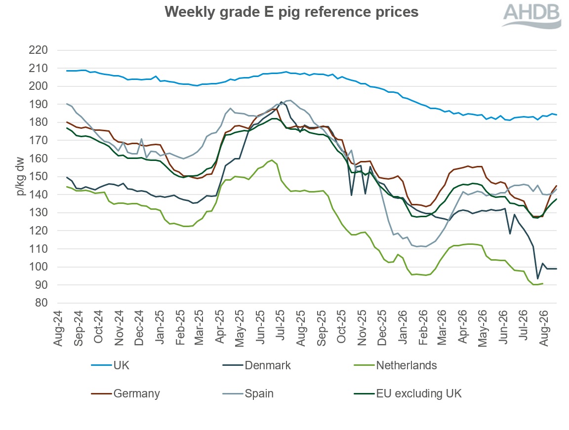 Line graph of EU grade E pig prices for two years up to 23 August 2026.